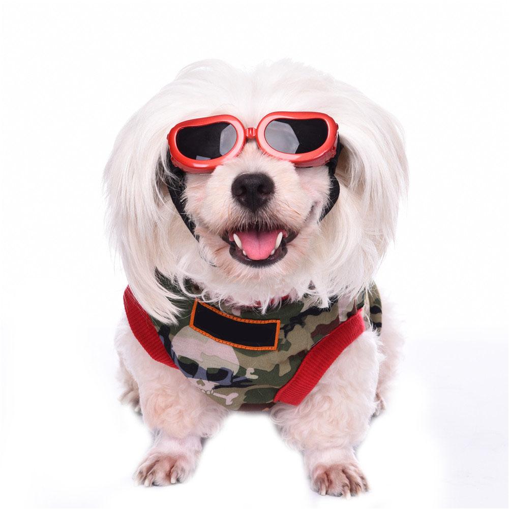 1PC Colorful Small Dog Sunglasses Windproof Anti-Fog Goggles Adjustable Strap Pet Sunglasses UV Protection Dog Accessories